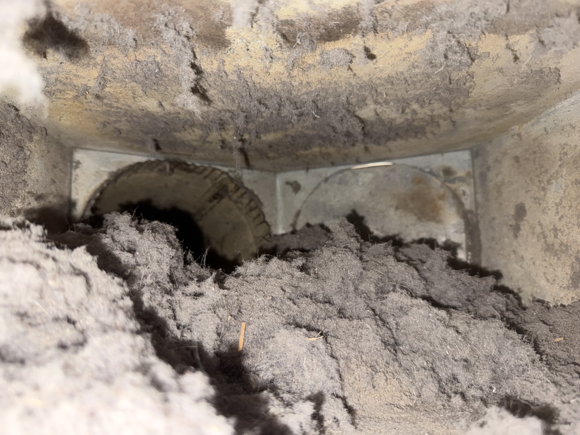 Dirty Dryer Vent in Greenville SC