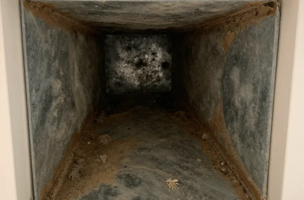 How Often Should You Clean Your Air Ducts?