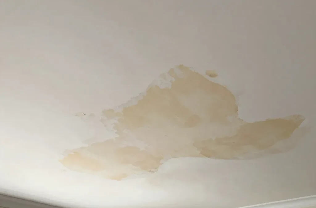 Mold in Air Ducts: What Simpsonville Homeowners Should Know