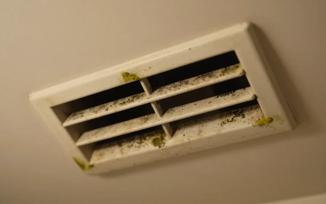 Why Your Air Ducts Smell Musty (and How to Fix It)